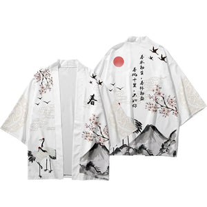 Assorted graphic kimonos G3