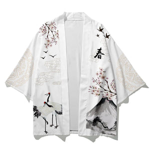 Assorted graphic kimonos G1